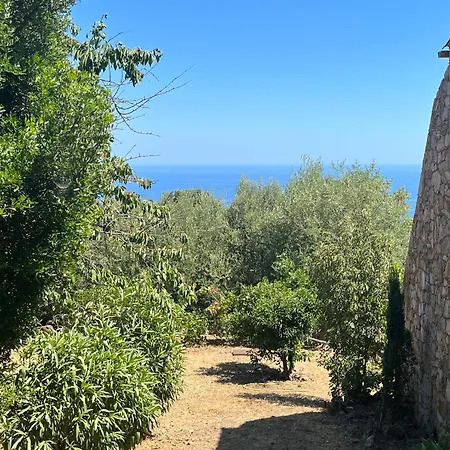Maison En Pierre Corse Vue 萨里索伦札拉