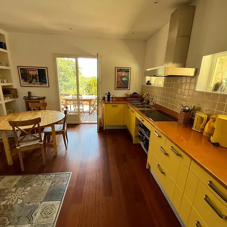 Maison En Pierre Corse Vue 萨里索伦札拉