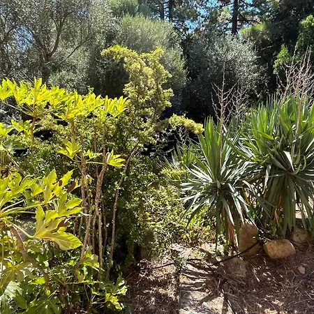 Villa Maison En Pierre Corse Vue *