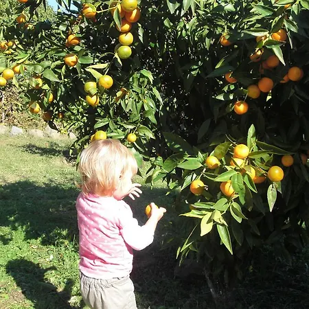 Villa Maison En Pierre Corse Vue Sari-Solenzara