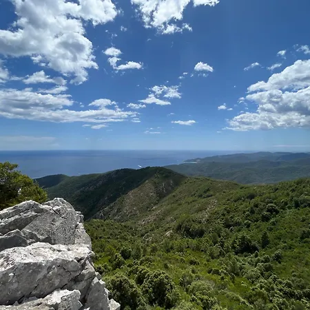 Maison En Pierre Corse Vue וילה סארי סולנזארה