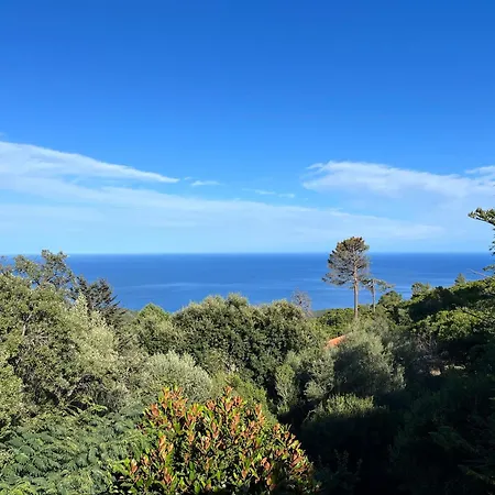 Villa Maison En Pierre Corse Vue