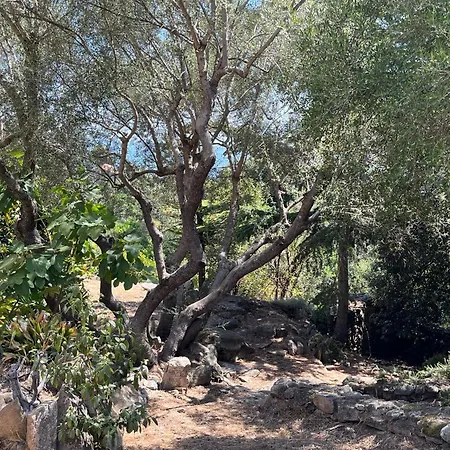 Maison En Pierre Corse Vue וילה סארי סולנזארה