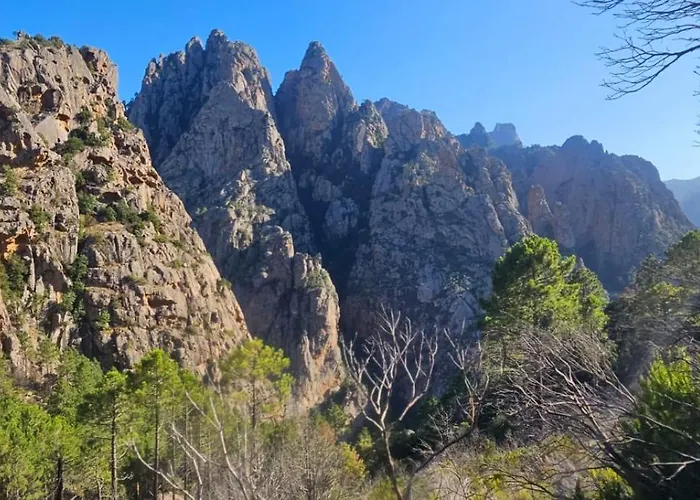 Villa Maison En Pierre Corse Vue *