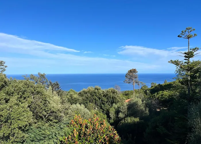 Villa Maison En Pierre Corse Vue