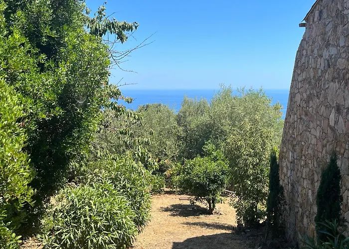 Maison En Pierre Corse Vue Sari-Solenzara