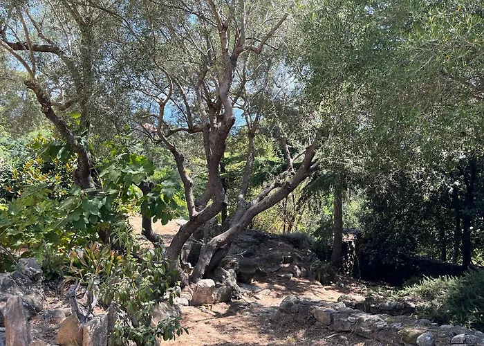 Maison En Pierre Corse Vue Villa Sari-Solenzara