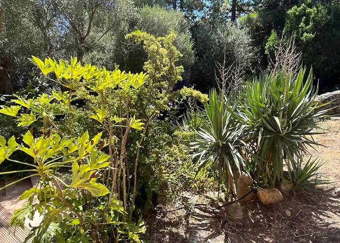 Villa Maison En Pierre Corse Vue *