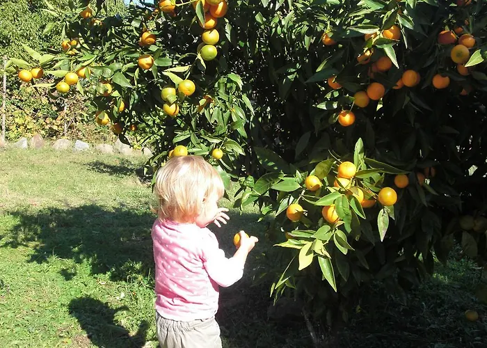 Villa Maison En Pierre Corse Vue Sari-Solenzara
